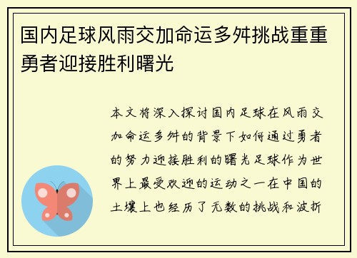 国内足球风雨交加命运多舛挑战重重勇者迎接胜利曙光